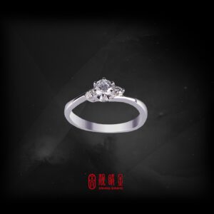 GIA30分-31分D/VS2鑽石女戒（已承蒙收藏）