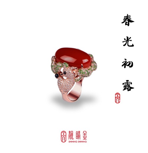 珊瑚之王-阿卡珊瑚