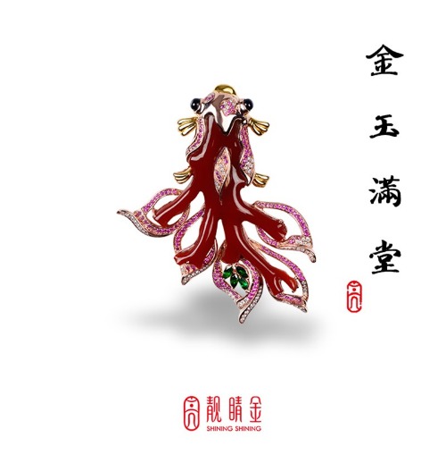 珊瑚之王-阿卡珊瑚