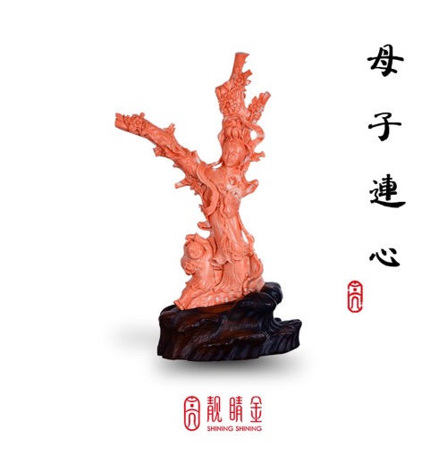 珊瑚中的巨人-MOMO珊瑚