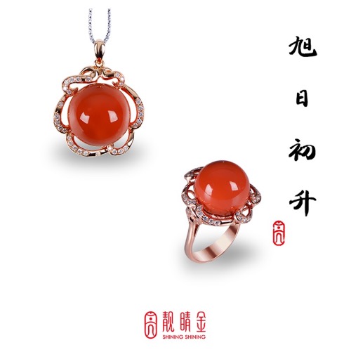 珊瑚中的巨人-MOMO珊瑚