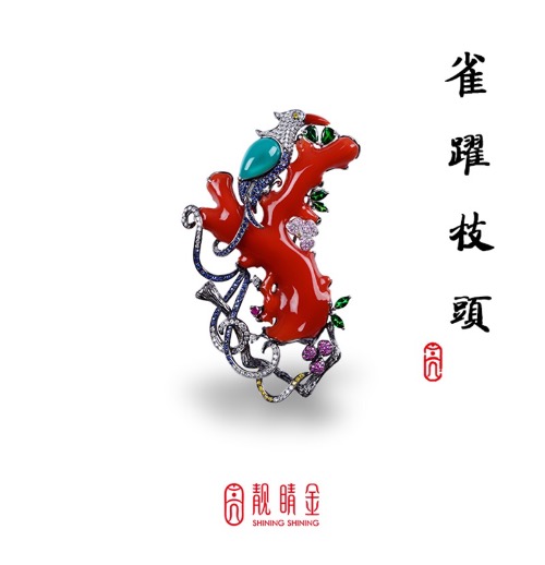 珊瑚中的巨人-MOMO珊瑚