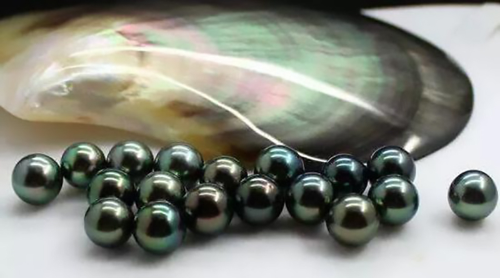 淡水珠?海水珠?珍珠種類報你知
