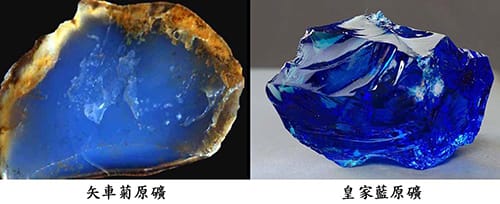 藍寶之王-皇家藍V.S矢車菊藍