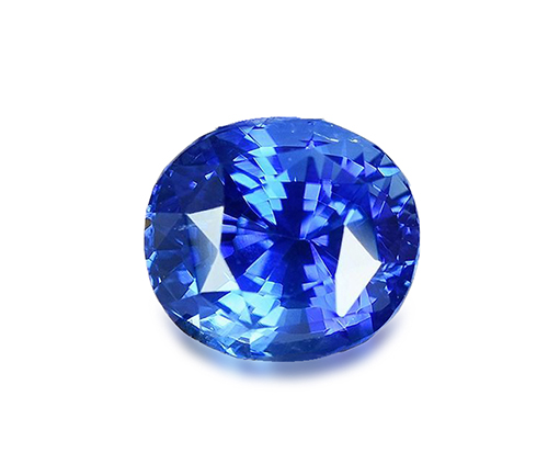 藍寶之王-皇家藍V.S矢車菊藍