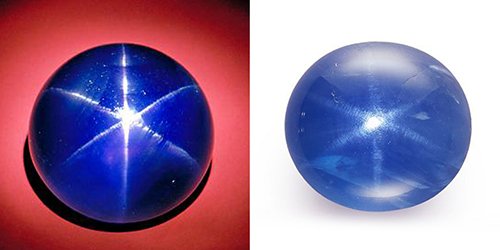 藍寶之王-皇家藍V.S矢車菊藍